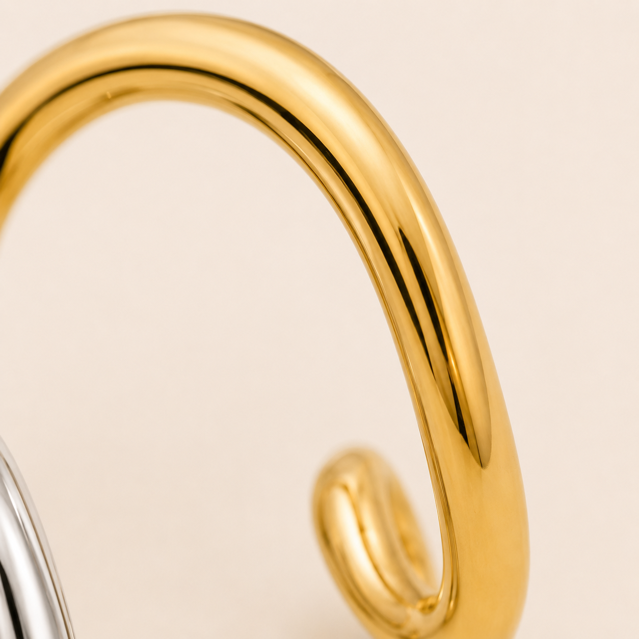The Two Tone Hoop