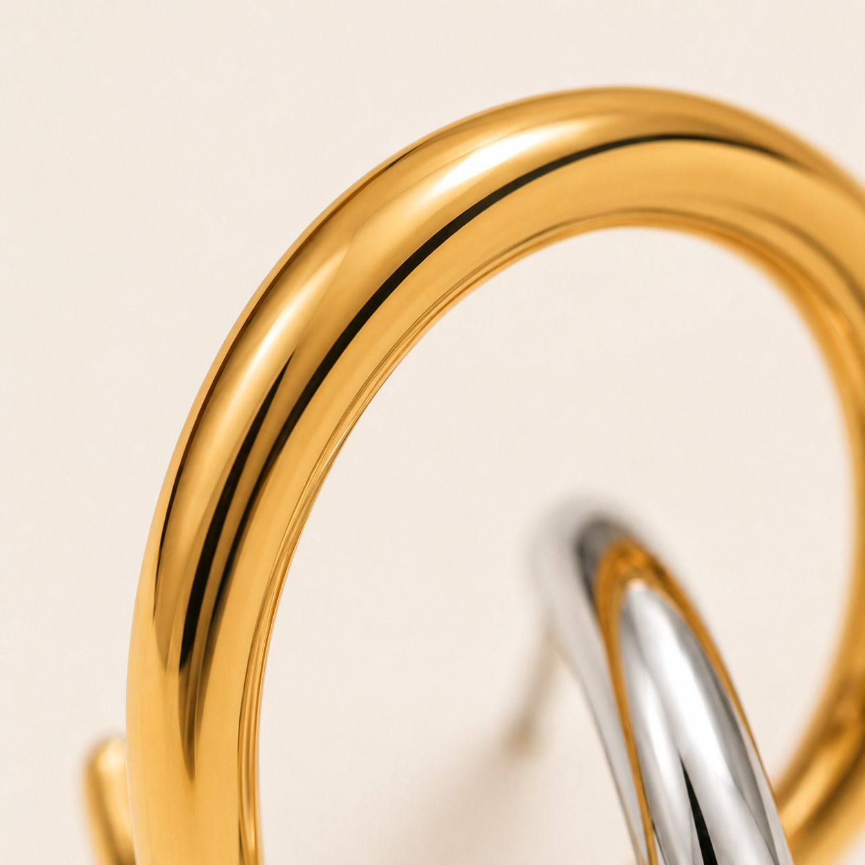 The Two Tone Hoop