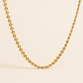 The Heart Link Necklace