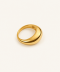 Nine to Five18k gold Ring