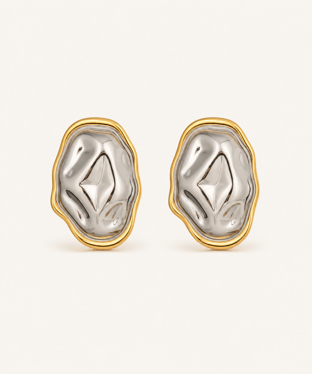 Echo Two Toned Earrings