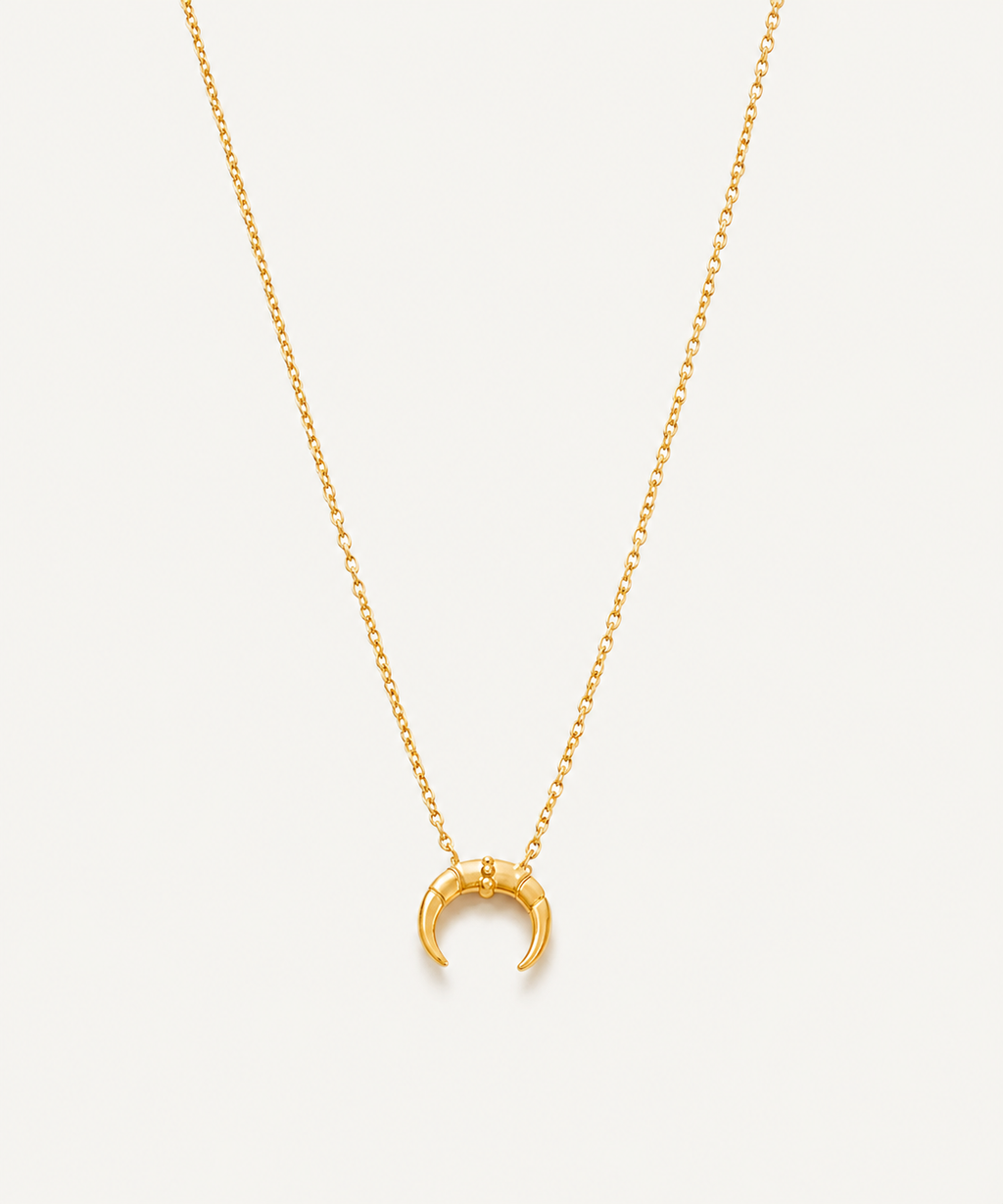 Rooted 18k gold plated Necklace