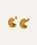 Rich Earrings